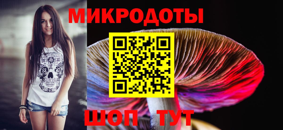 Галлюциногенные грибы Magic Shrooms Северобайкальск
