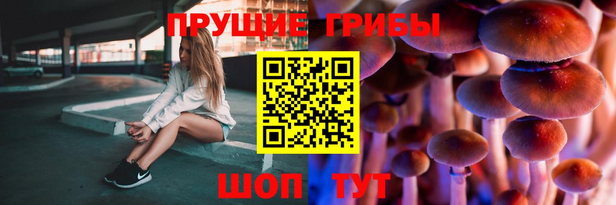 хочу   Вход с VPN  Северобайкальск  Галлюциногенные грибы мицелий 